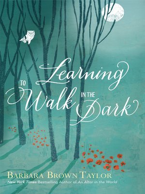 cover image of Learning to Walk in the Dark